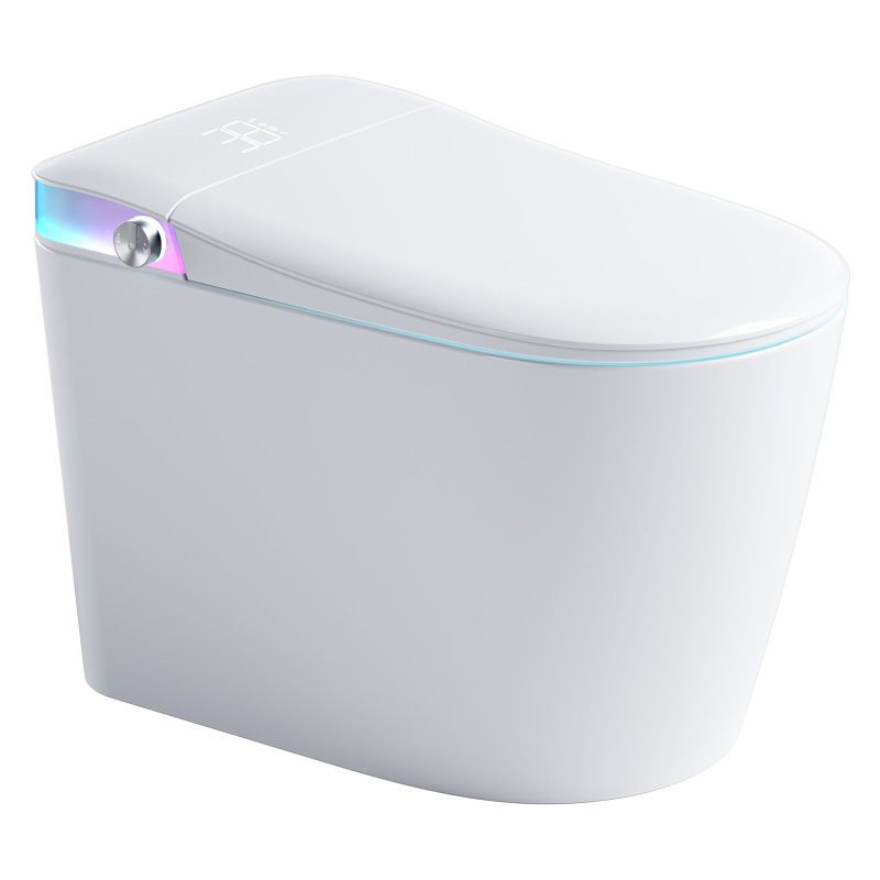 Intelligent Closestool ICS-001