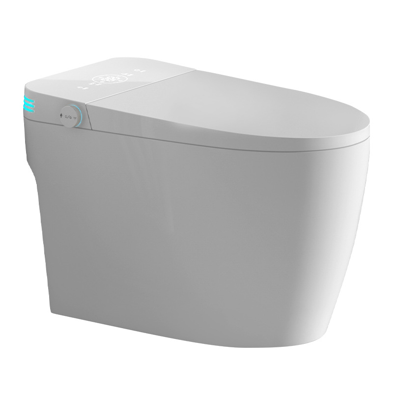 Intelligent Closestool ICS-003