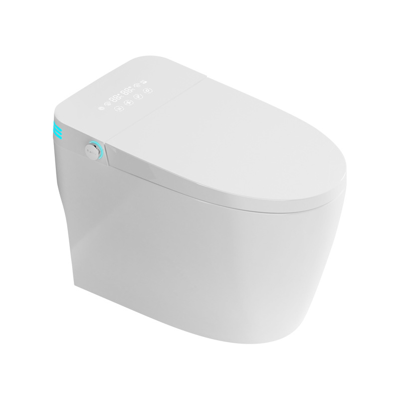Intelligent Closestool ICS-004