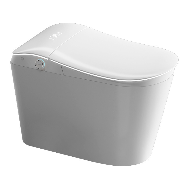 Intelligent Closestool ICS-005