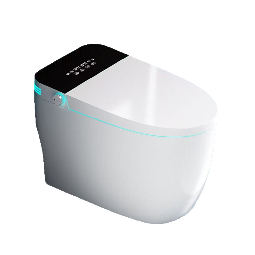 Intelligent Closestool ICS-006