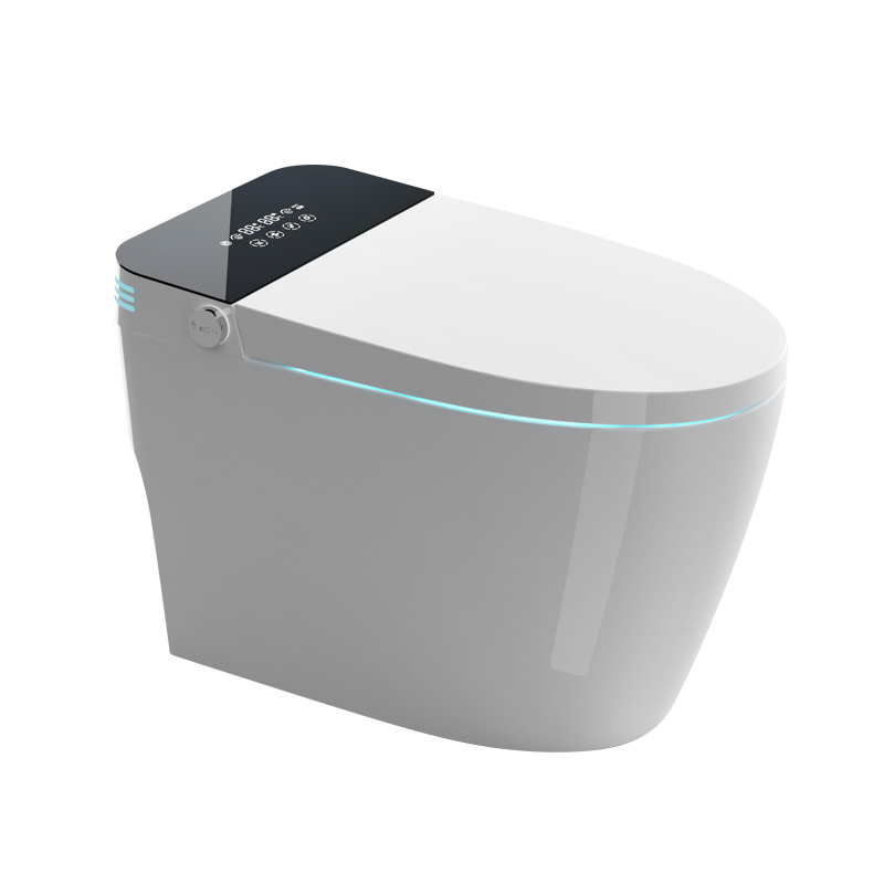 Intelligent Closestool ICS-007