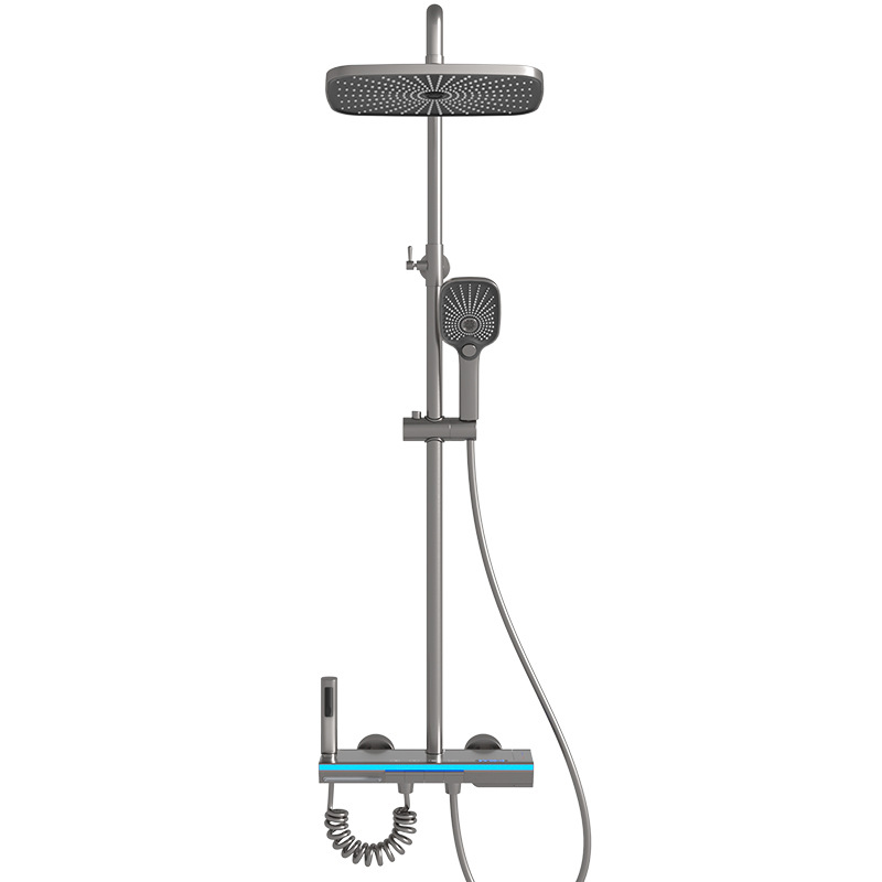 Shower Head SH-006