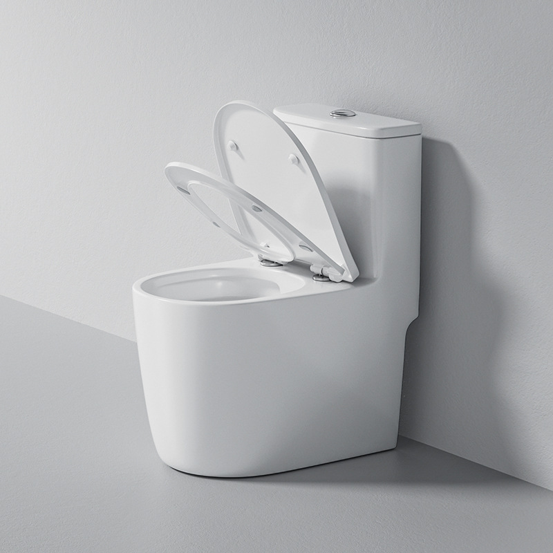 Common Closestool CCS-008